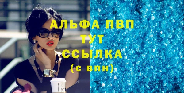 прущие грибы Карпинск