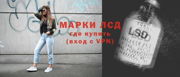 прущие грибы Карпинск