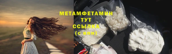 прущие грибы Карпинск