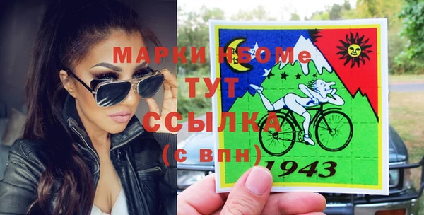 прущие грибы Карпинск
