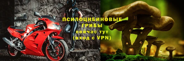 PSILOCYBIN Касимов