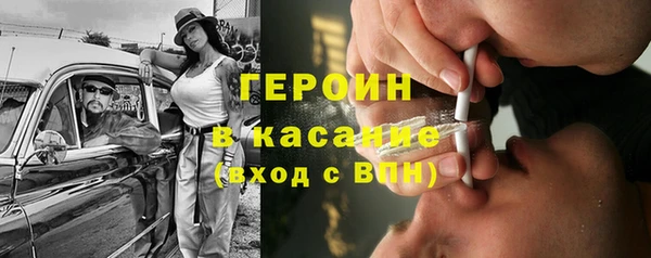 прущие грибы Карпинск