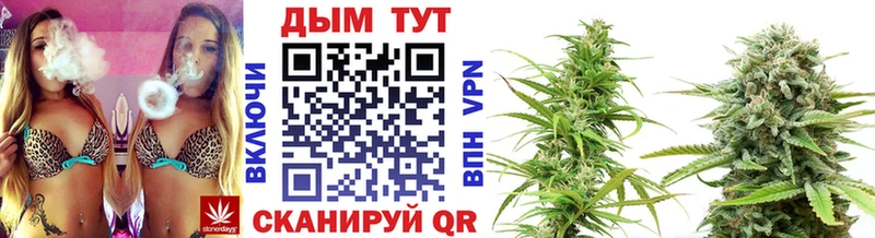 Купить  Пудож  Бошки Шишки семена 